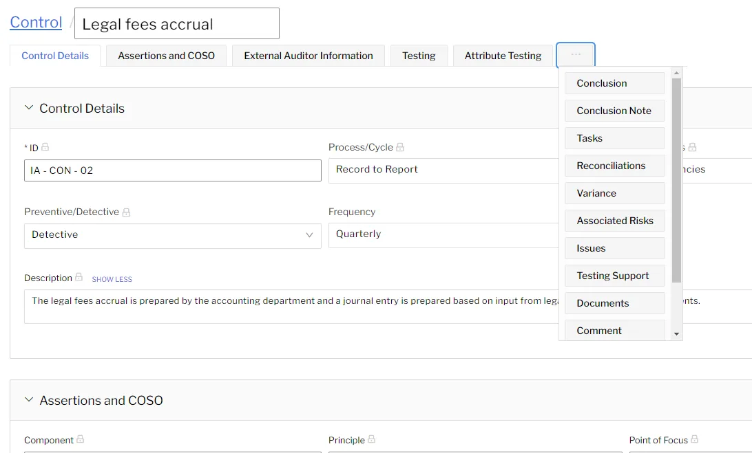 Control detail record with assertions, testing and external auditor information tabs