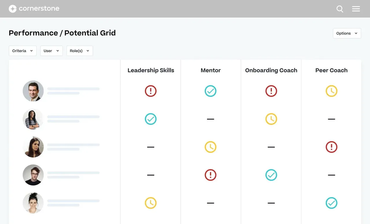 Performance/potential grid used for succession planning