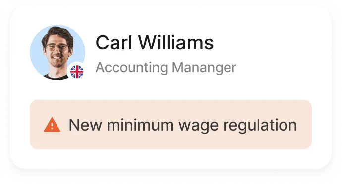 Compliance flag / input alert window with automated rule validation