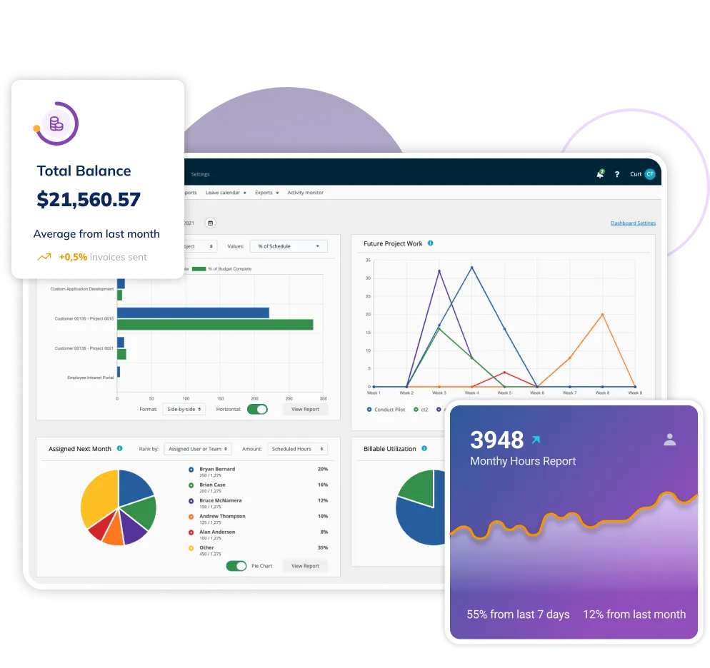Journyx reporting and analytics screens