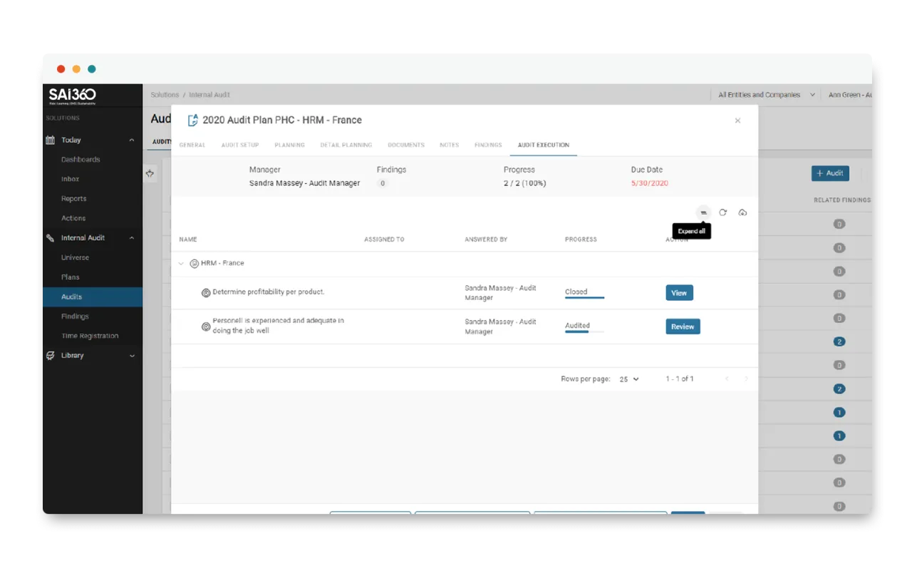 Audit plan detail view with audit execution checklist and progress tracking