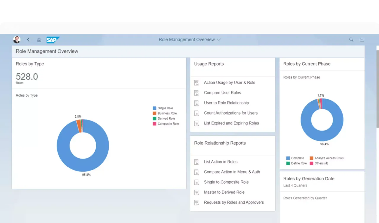 Role Management Overview dashboard showing roles by type, usage reports, and role relationship reports