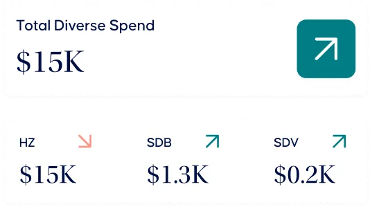 Total diverse spend summary widget
