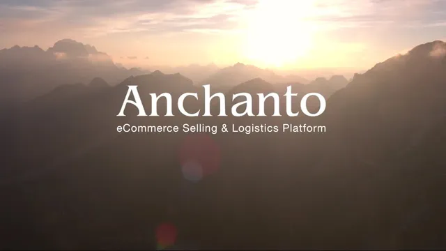 Demo video