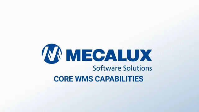 Demo video