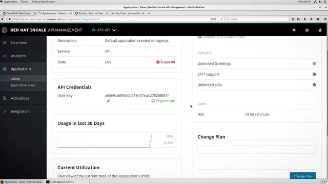 Demo video