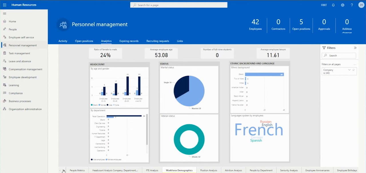 Dynamics 365 Human Resources personnel management workforce demographics analytics dashboard